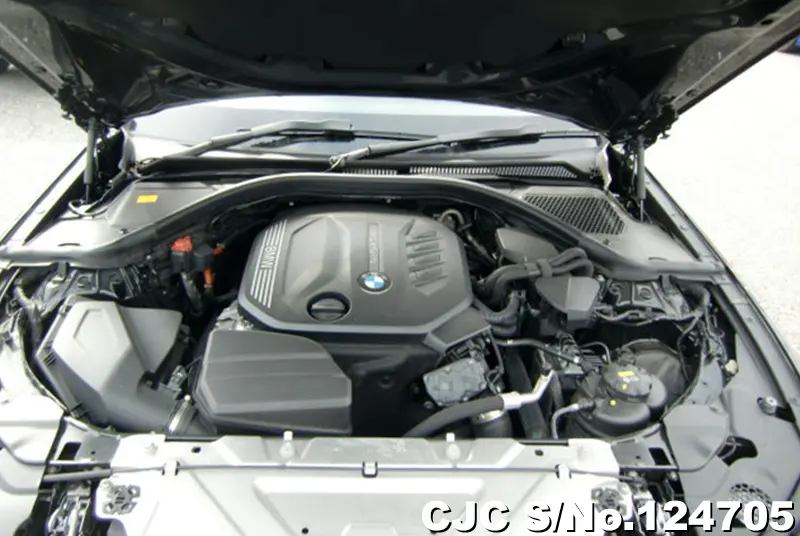 BMW 3 Series in Black for Sale Image 19