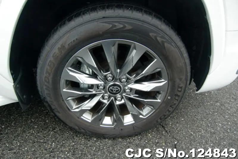 Toyota Land Cruiser in White for Sale Image 20