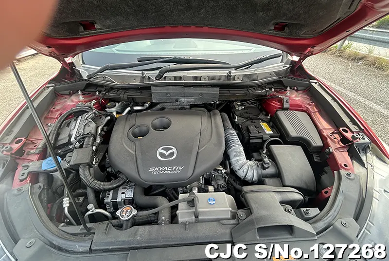 Mazda CX-5 in Red for Sale Image 14