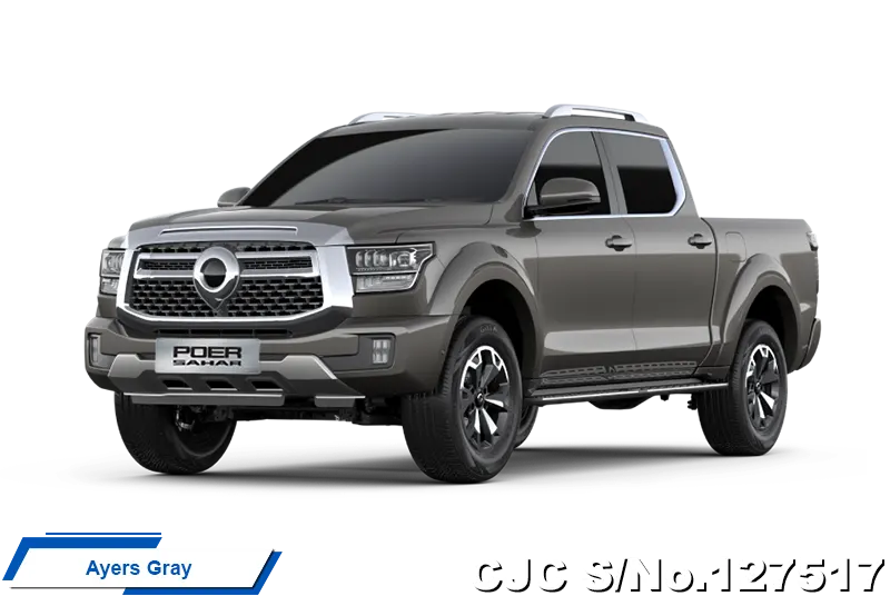 GWM Poer Sahar in Sun Black for Sale Image 2