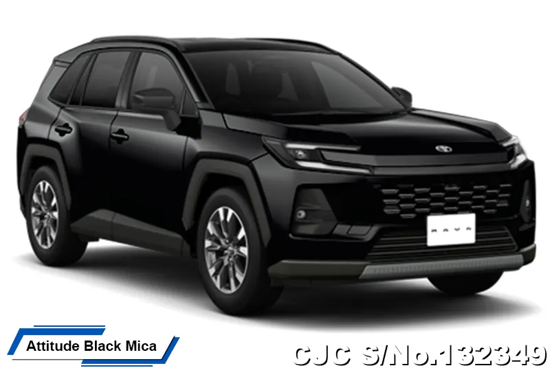 Toyota Rav4 in Massive Gray for Sale Image 12