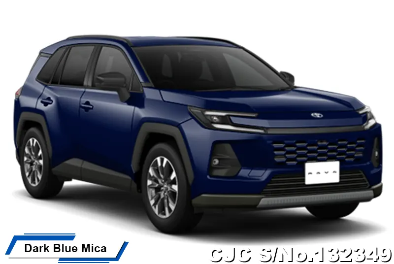 Toyota Rav4 in Massive Gray for Sale Image 16