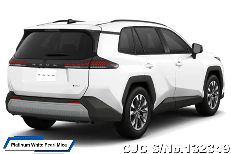 Toyota Rav4 in Massive Gray for Sale Image 19