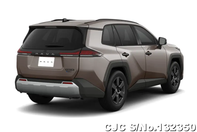 Toyota Rav4 in Urban Rock for Sale Image 2