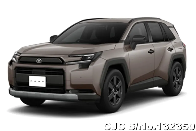 Toyota Rav4 in Urban Rock for Sale Image 3