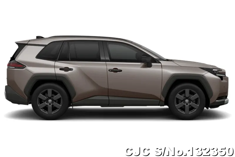 Toyota Rav4 in Urban Rock for Sale Image 6