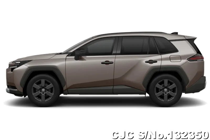 Toyota Rav4 in Urban Rock for Sale Image 7