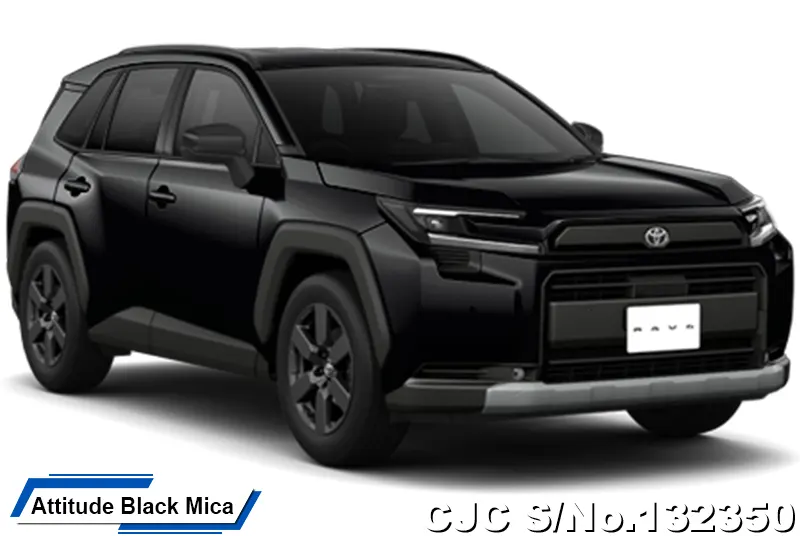 Toyota Rav4 in Urban Rock for Sale Image 11