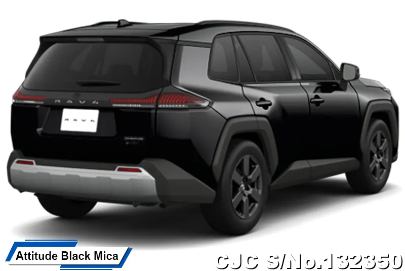 Toyota Rav4 in Urban Rock for Sale Image 12