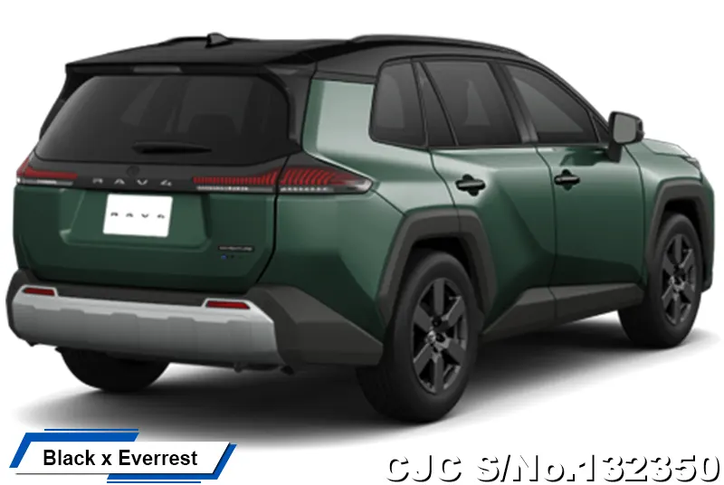 Toyota Rav4 in Urban Rock for Sale Image 14