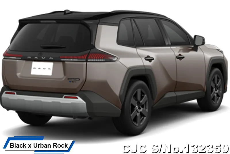 Toyota Rav4 in Urban Rock for Sale Image 16