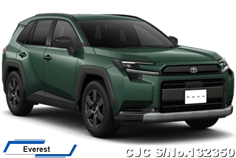 Toyota Rav4 in Urban Rock for Sale Image 17