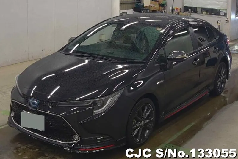 Toyota Corolla in Black for Sale Image 3
