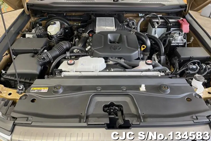 Toyota Land Cruiser 250 in Sand for Sale Image 6