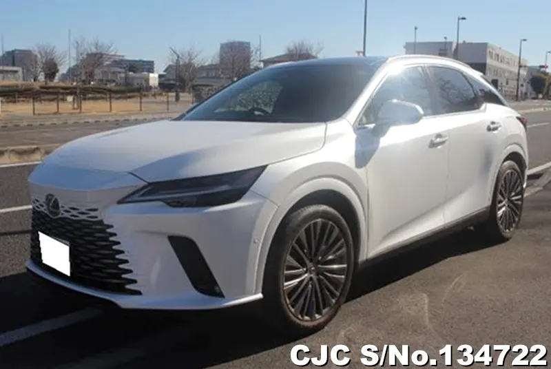 Lexus / RX 350 2025