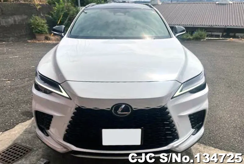 Lexus RX 350 in Pearl for Sale Image 3