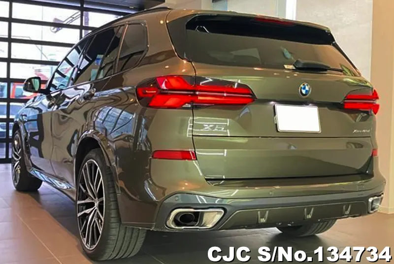 BMW X5 in Gray for Sale Image 1