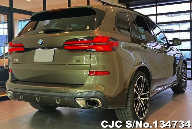 BMW X5 in Gray for Sale Image 2