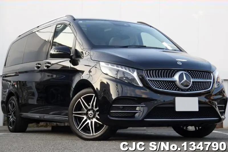 Mercedes Benz / V Class 2024