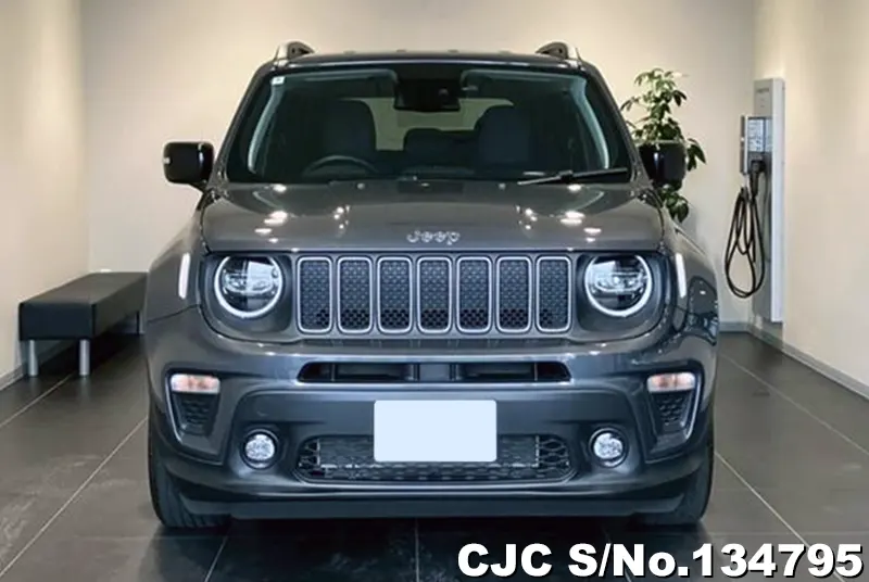 Chrysler Jeep Wrangler in Gray for Sale Image 1