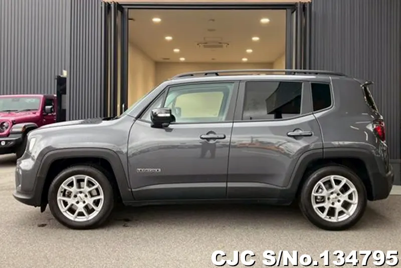 Chrysler Jeep Wrangler in Gray for Sale Image 4