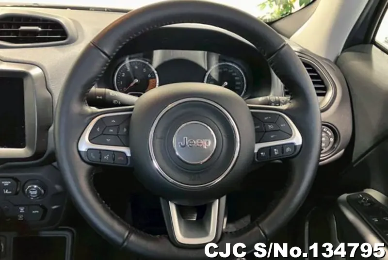 Chrysler Jeep Wrangler in Gray for Sale Image 10