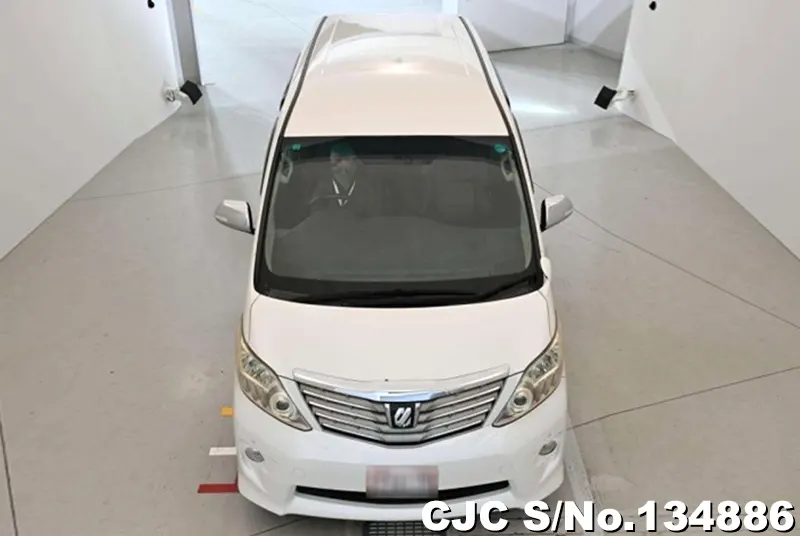 Toyota Alphard in White for Sale Image 4