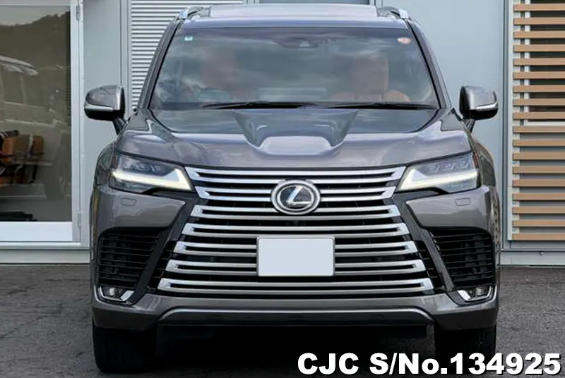 Lexus LX 600 in Gray for Sale Image 2