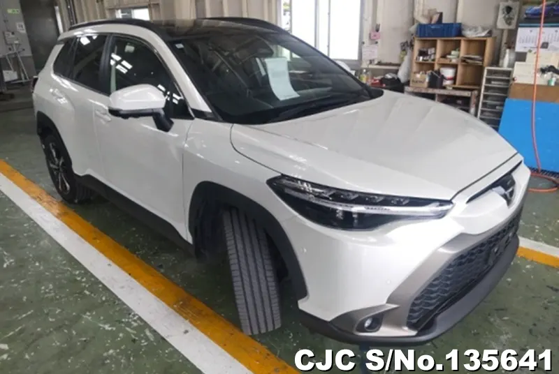 Toyota / Corolla Cross 2024