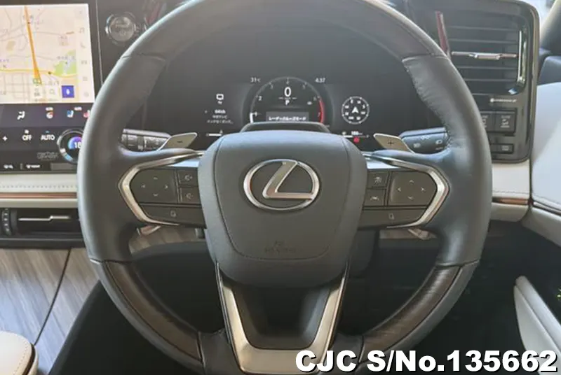 Lexus LM500h in Gray for Sale Image 4