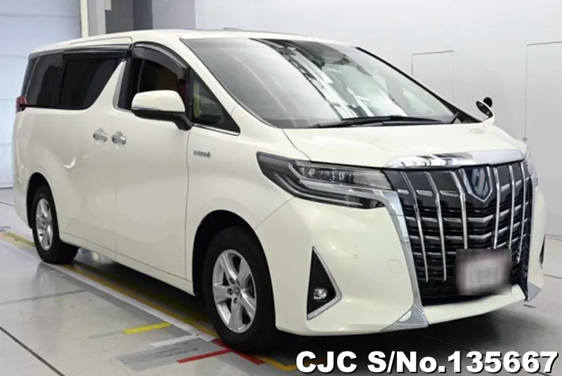 Toyota / Alphard 2021