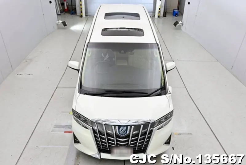 Toyota Alphard in White for Sale Image 4