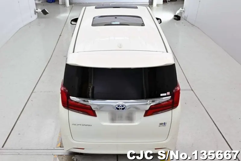 Toyota Alphard in White for Sale Image 5