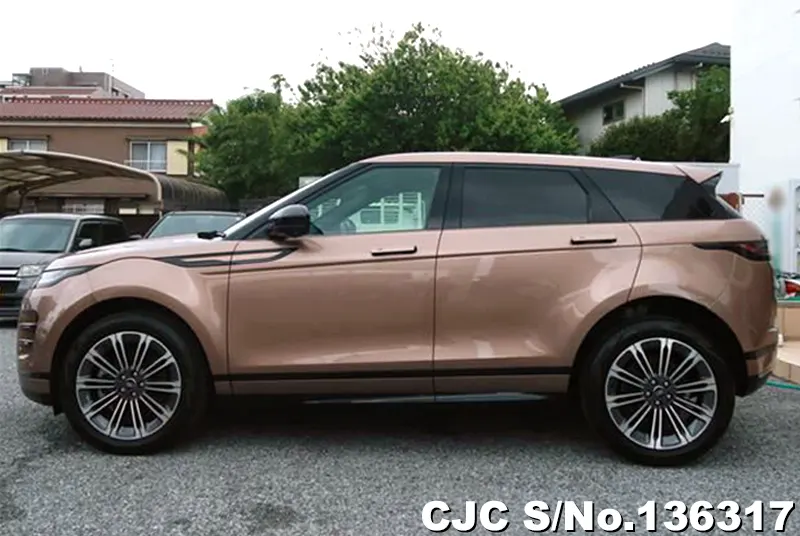 Land Rover Range Rover in Gold for Sale Image 6
