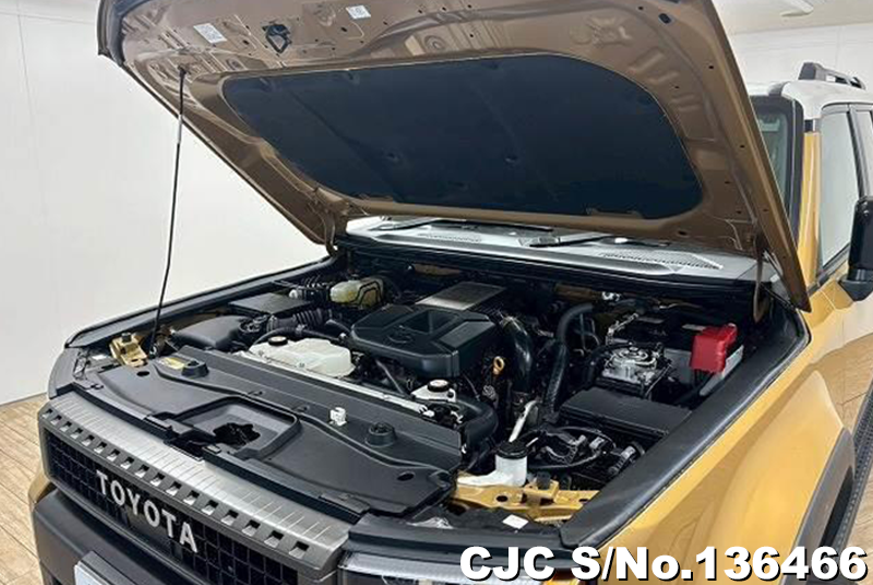 Toyota Land Cruiser 250 in Sand for Sale Image 18