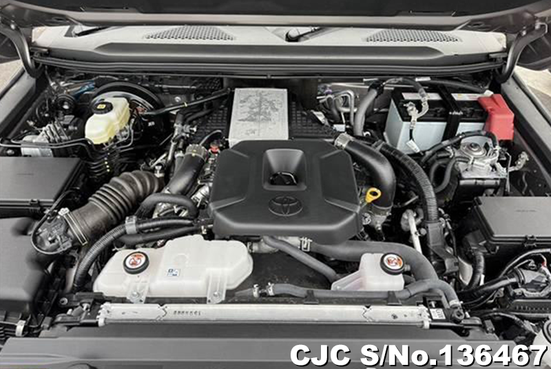 Toyota Land Cruiser 250 in Gray for Sale Image 19