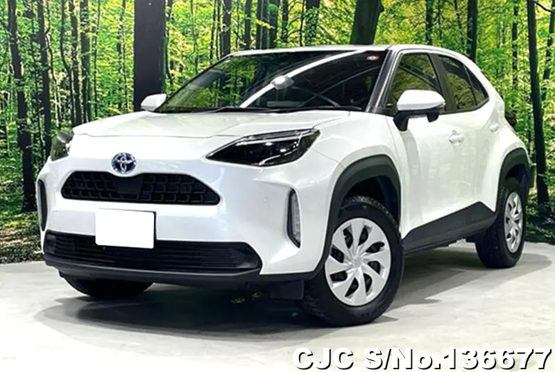Toyota / Yaris Cross 2023