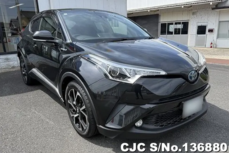 Toyota / C-HR 2017