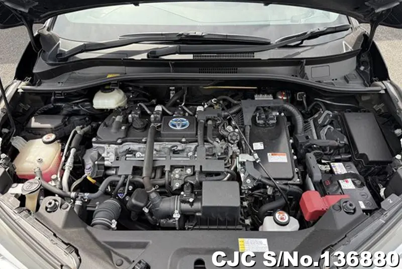 Toyota C-HR in Black for Sale Image 13