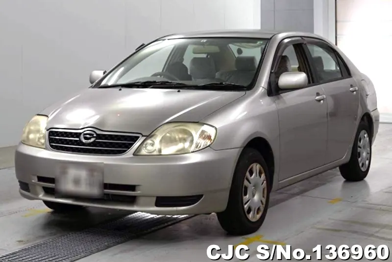 Toyota Corolla in Beige for Sale Image 2