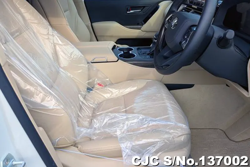 Toyota Land Cruiser in Pearl for Sale Image 9