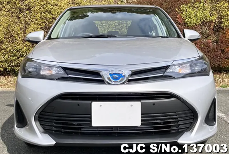 Toyota Corolla Axio in Silver for Sale Image 4