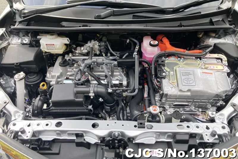 Toyota Corolla Axio in Silver for Sale Image 14
