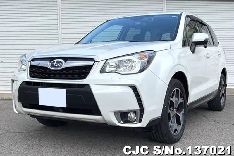 Subaru Forester in White for Sale Image 1