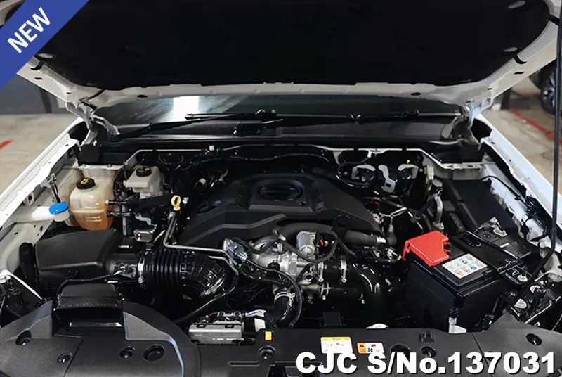 Ford Everest in White for Sale Image 14