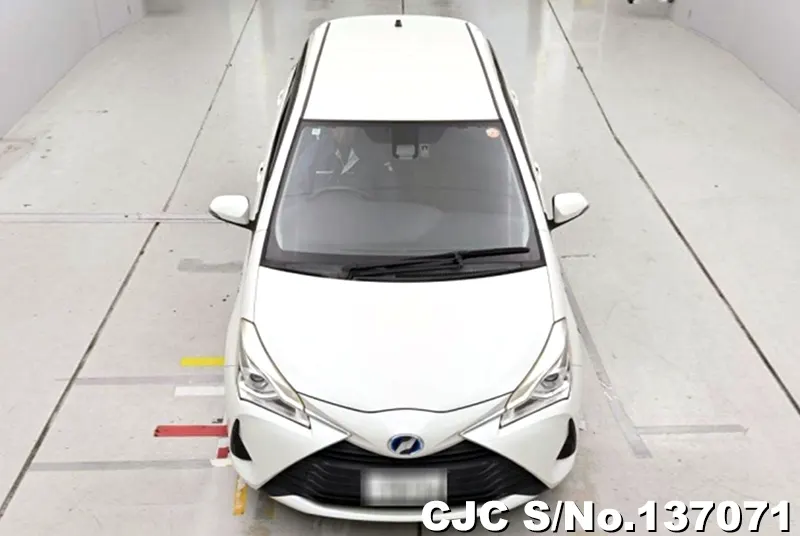 Toyota Vitz in White for Sale Image 4