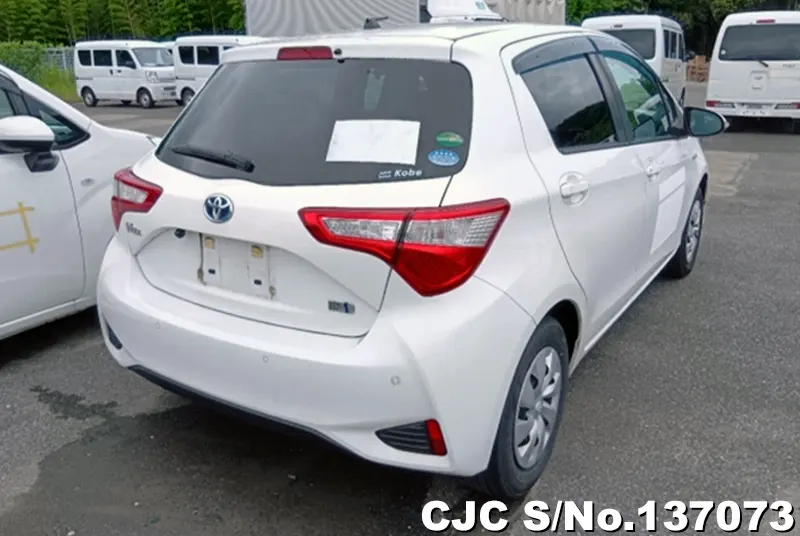 Toyota Vitz in White for Sale Image 1