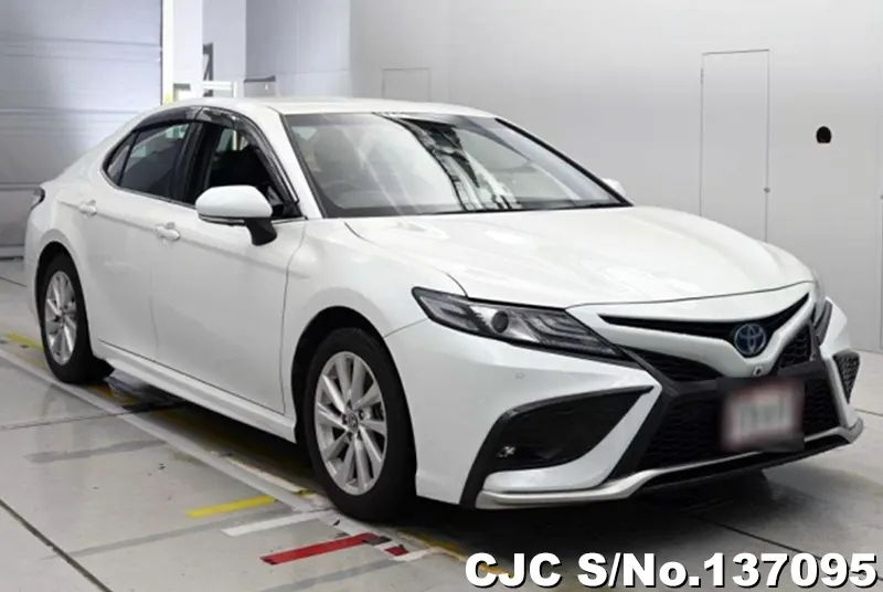 Toyota / Camry 2021