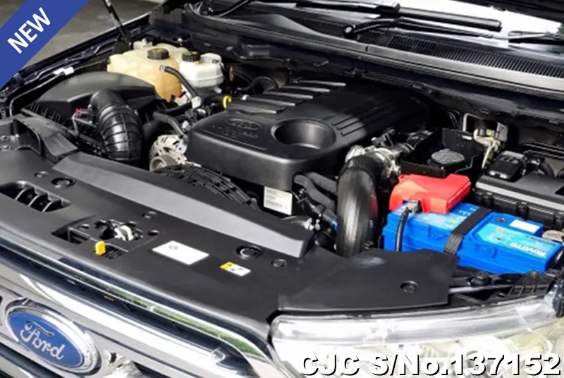 Ford Everest in Black for Sale Image 10