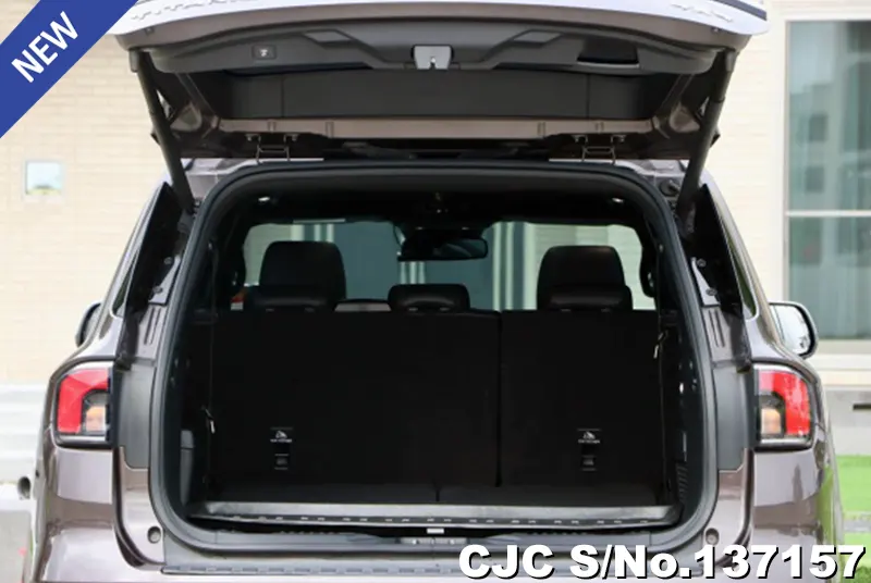 Ford Everest in Brown for Sale Image 5